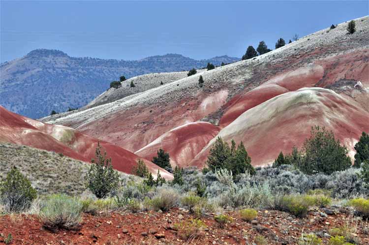 fossil beds of many colors